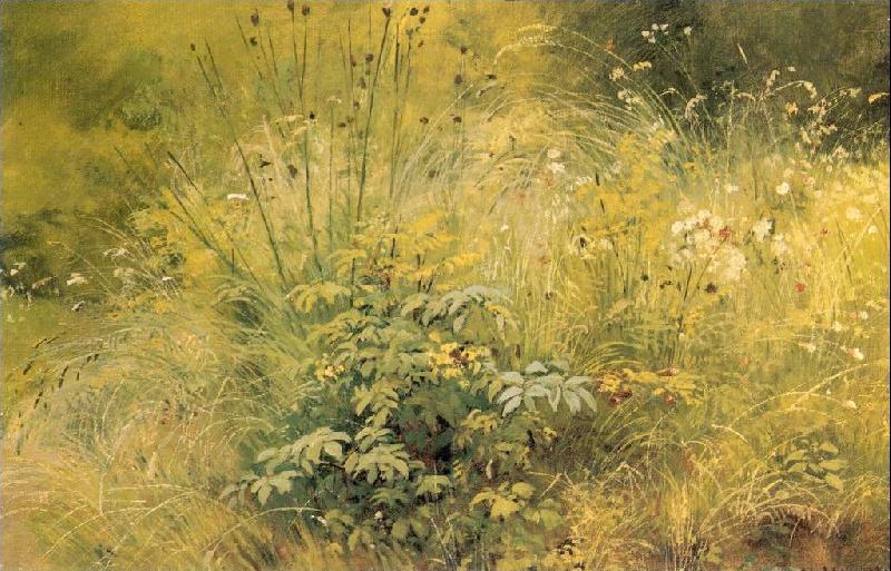 Ivan Shishkin Herbage oil painting image